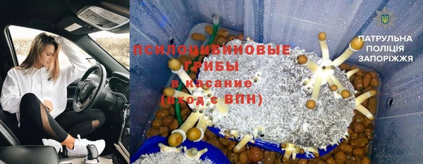 амф Балахна