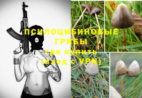 амф Балахна