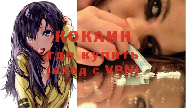 шишки Майский